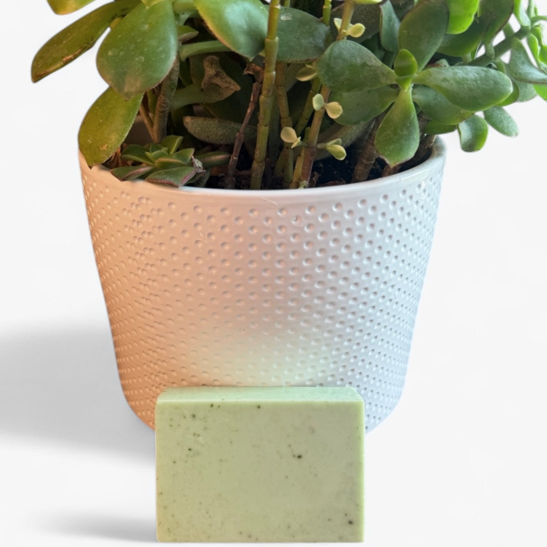 Eucalyptus & Tea Tree Oil Natural Goat’s Milk Soap